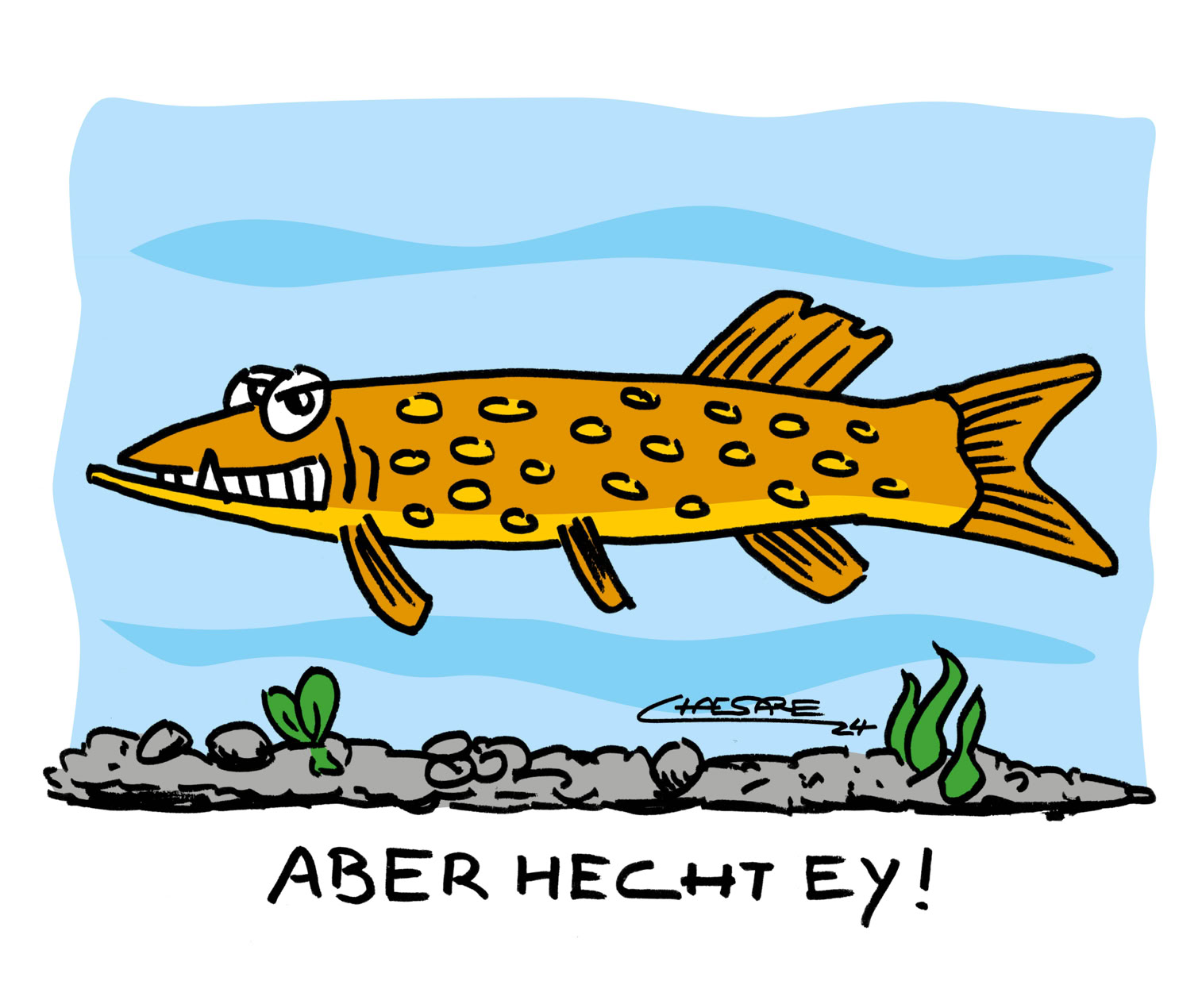 Chaesare, Chaesare Cartoons, Cartoon, Zeichnung, lustig, funny, joke, comic, lachen, witzig, fun, spaß, Unsinn, Hecht, jetzt, echt, wirklich, echtjetzt, verwunderung, aha. erlebnis, frage, fisch, aber, echt, jetzt, mal, schwimmen, fluss, fische, angeln, angelsport, angler, koeder, raubfisch, Sylt, Cartoon, Jour, Fixe